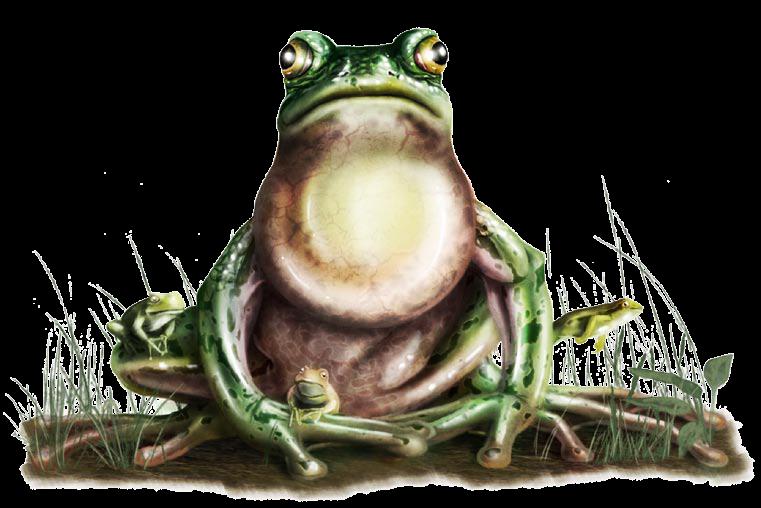 Giant Frog 5e.